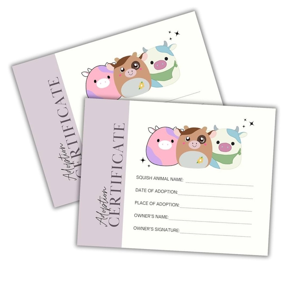 *PACKAGE OPENED* Squishmallow Adoption Certificates